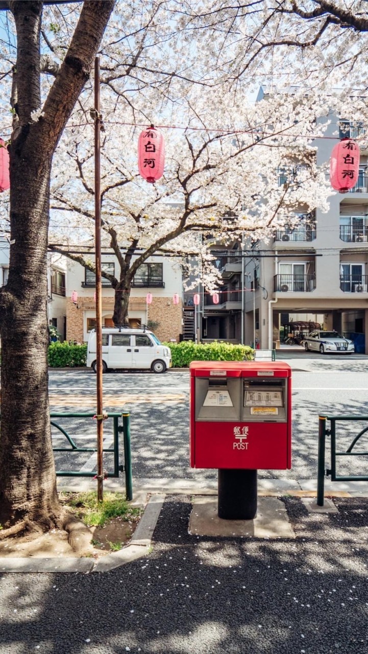 🐻 HiKaSa商行🇯🇵日貨雜舖