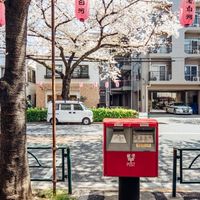 🐻 HiKaSa商行🇯🇵日貨雜舖