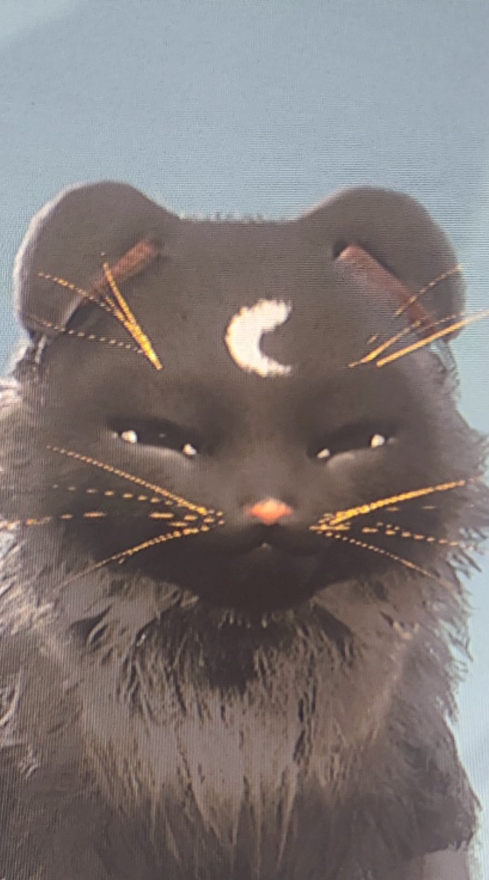 休閒獵人