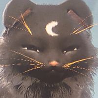 休閒獵人