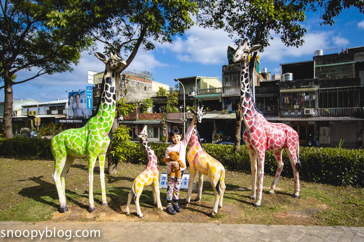 連新北人都不知道！樹林８處免費景點：巨型飛碟公園、愛心池塘、繡球花祕境