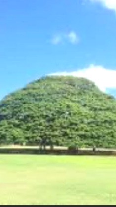 🍀東海🍀温泉♨️観光🚌グルメ会🍱心友会