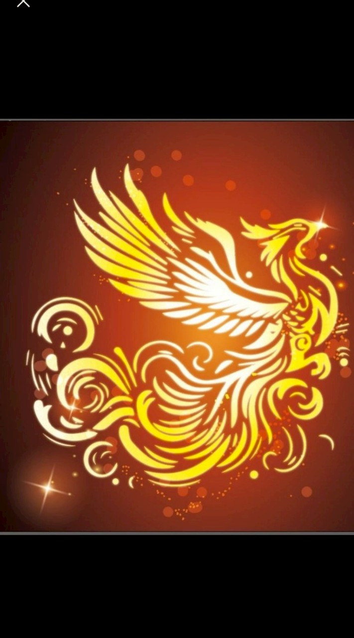 🐦‍🔥鳳凰閤-公司禮生🐦‍🔥