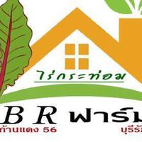 !B.R. ฟาร์ม ก้านแดง 56