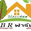 !B.R. ฟาร์ม ก้านแดง 56