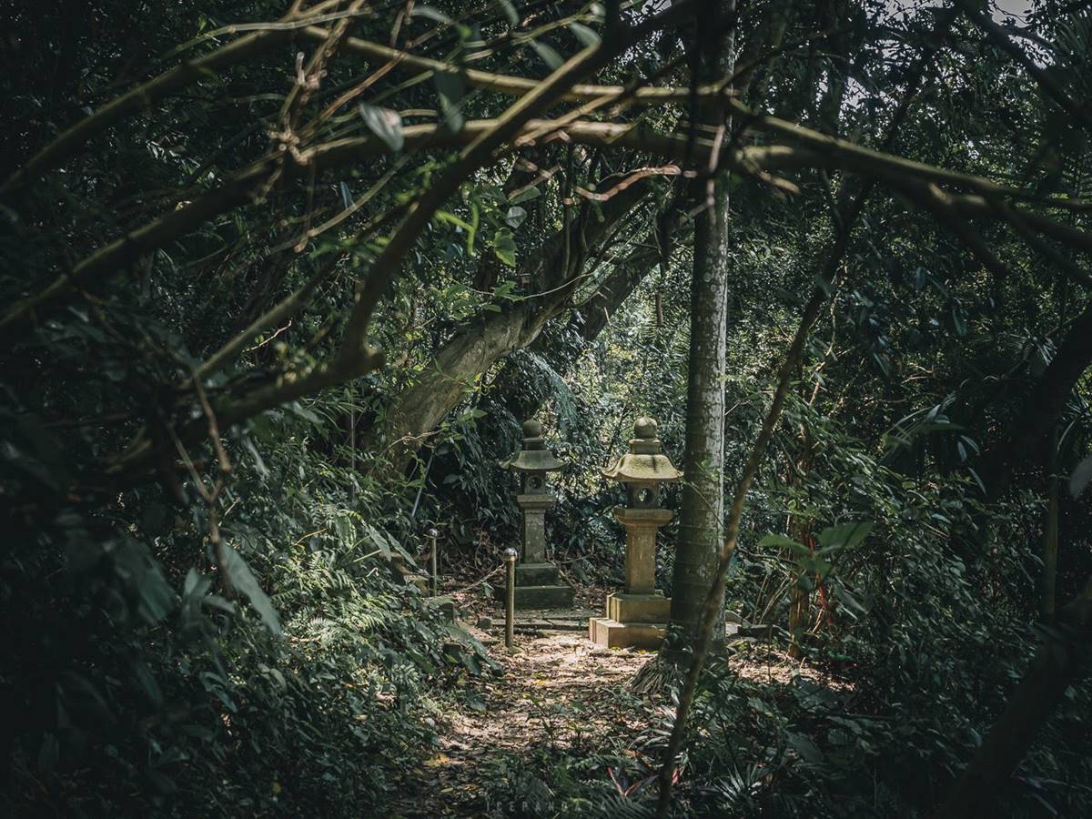 別只去故宮！士林６處「隱藏版景點」快衝：外雙溪祕境、IG暴紅「水中步道」