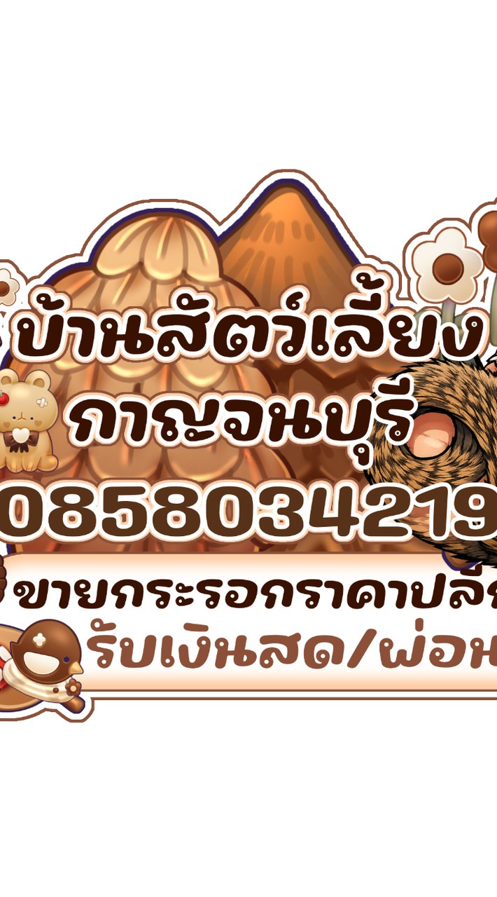 บ้านสัตว์เลี้ยงกาญจนบุรี ราคาปลีก/ส่ง🐿️
