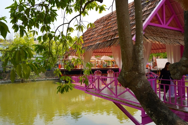 中部景點,斗六景點,斗六花旗木,近水樓台,近水樓台湖畔森林咖啡,近水樓台湖畔森林咖啡交通資訊,近水樓台湖畔森林咖啡停車場,近水樓台湖畔森林咖啡停車場花旗木,近水樓台湖畔森林咖啡門票,雲林IG打卡點,雲林景點,雲林網美景點,雲林花旗木近水樓台湖畔森林咖啡花旗木