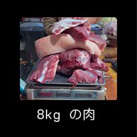 永瘦宮2.0