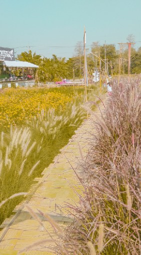 one day trip #เที่ยวออลเดย์