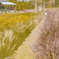 one day trip #เที่ยวออลเดย์