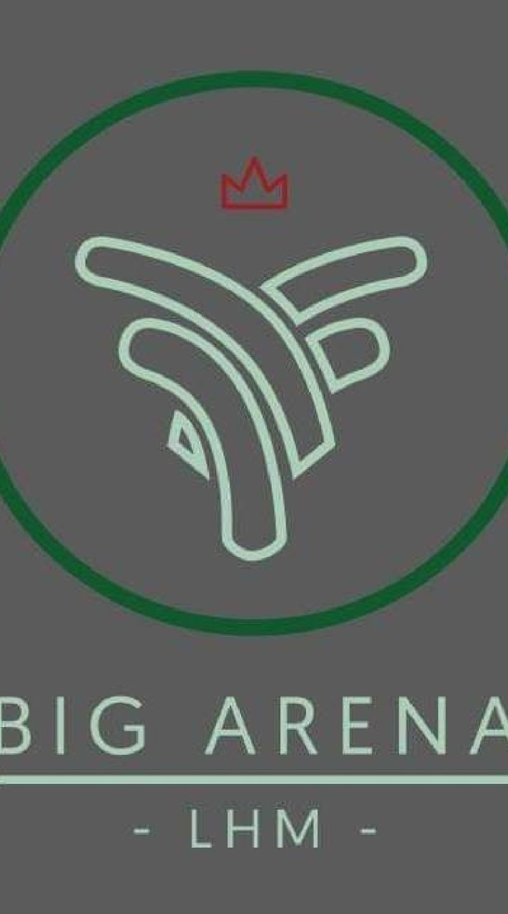 Big Arena