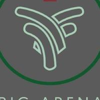Big Arena