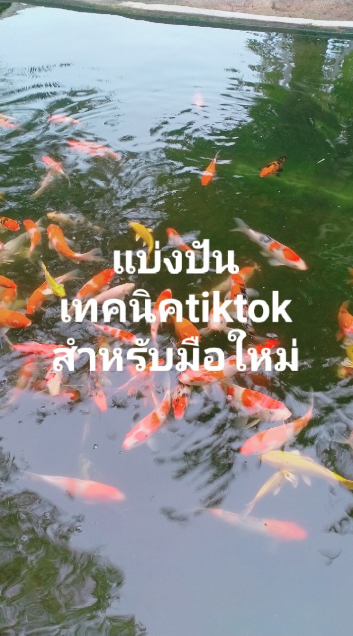 แบ่งปันมือใหม่ติ๊กต๊อก✌️โดยครูแม่ตุ้ม_สายฮาพารู้
