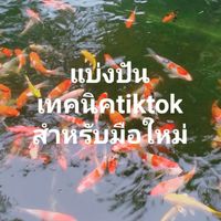 แบ่งปันมือใหม่ติ๊กต๊อก✌️โดยครูแม่ตุ้ม_สายฮาพารู้
