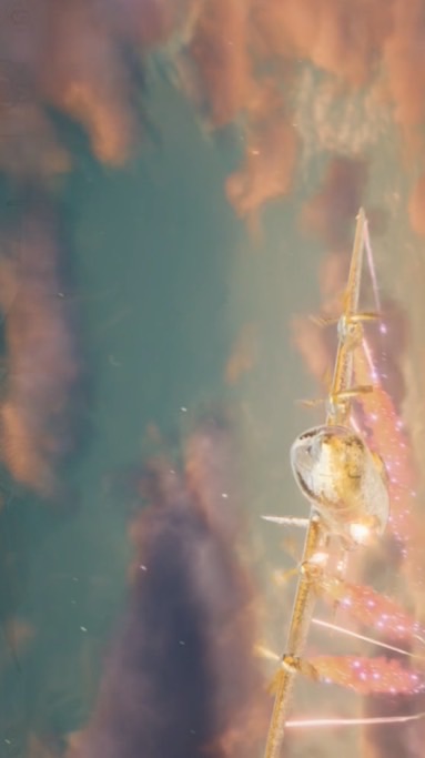 絕地求生Pubg Mobile 人氣禮物