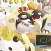 テイコウペンギン好きな少1〜高3集まれ〜‼️
