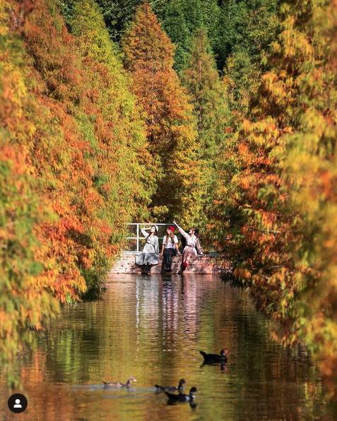 圖片來源：IG @pierrehuang