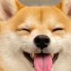 就愛一起購😎