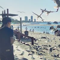 不得不買 時尚精品代購
