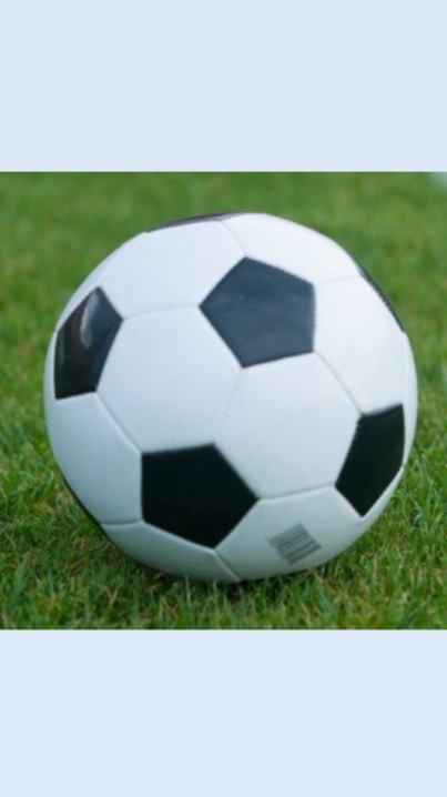 ふじみ野サッカー同好会