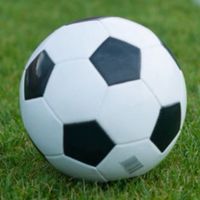 ふじみ野サッカー同好会