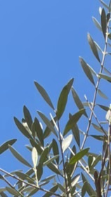 株式会社Birth&Rebirth