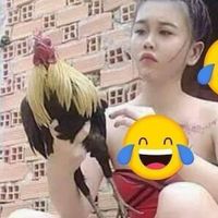 ทุกเรื่องไก่ชน