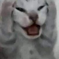 聊天群:D