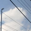 レズ　バイ　ゲイの人集まれ！【男女どっちでも！小学生限定?!】