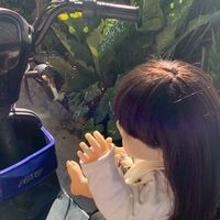 💗เบ บี้ ชาค 💐