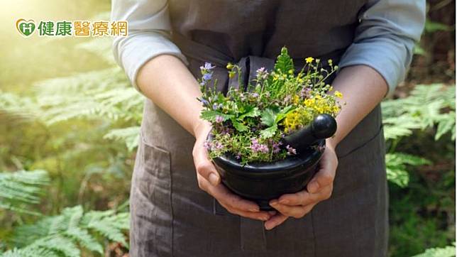 讓植物療癒你 最新研究證實 養花蒔草有益心理健康 中華日報 Line Today