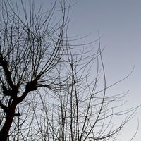 雑談