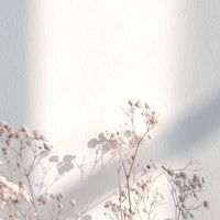 TT代購群
