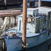 海軍短艇・掩体壕保存会　　　ご協力「日本戦跡協会様」