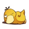 関西ポケカ情報共有
