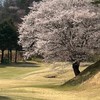 ワイワイYYゴルフ　"兵庫"