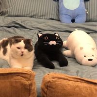 555團購網