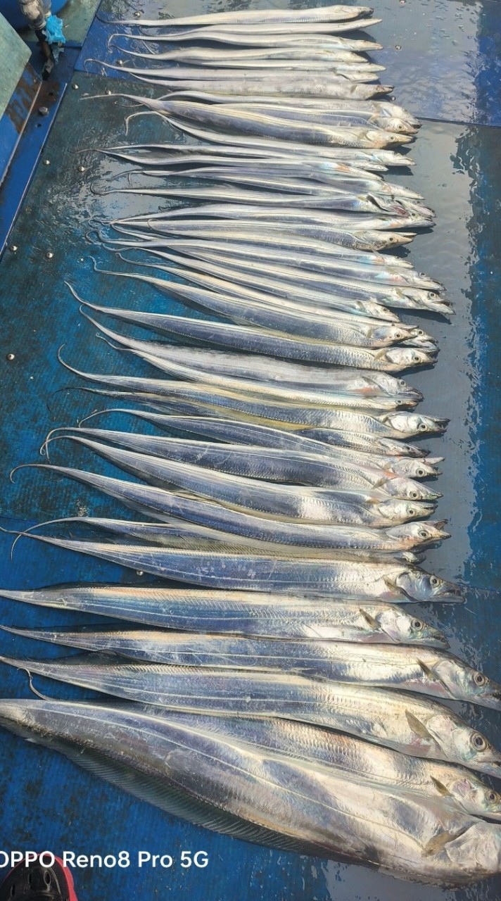 冠辰商行之深海釣客社群