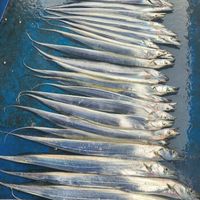 冠辰商行之深海釣客社群