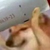 地博少年花子君 （沒什麼只是因為我想當主管 拜託進來