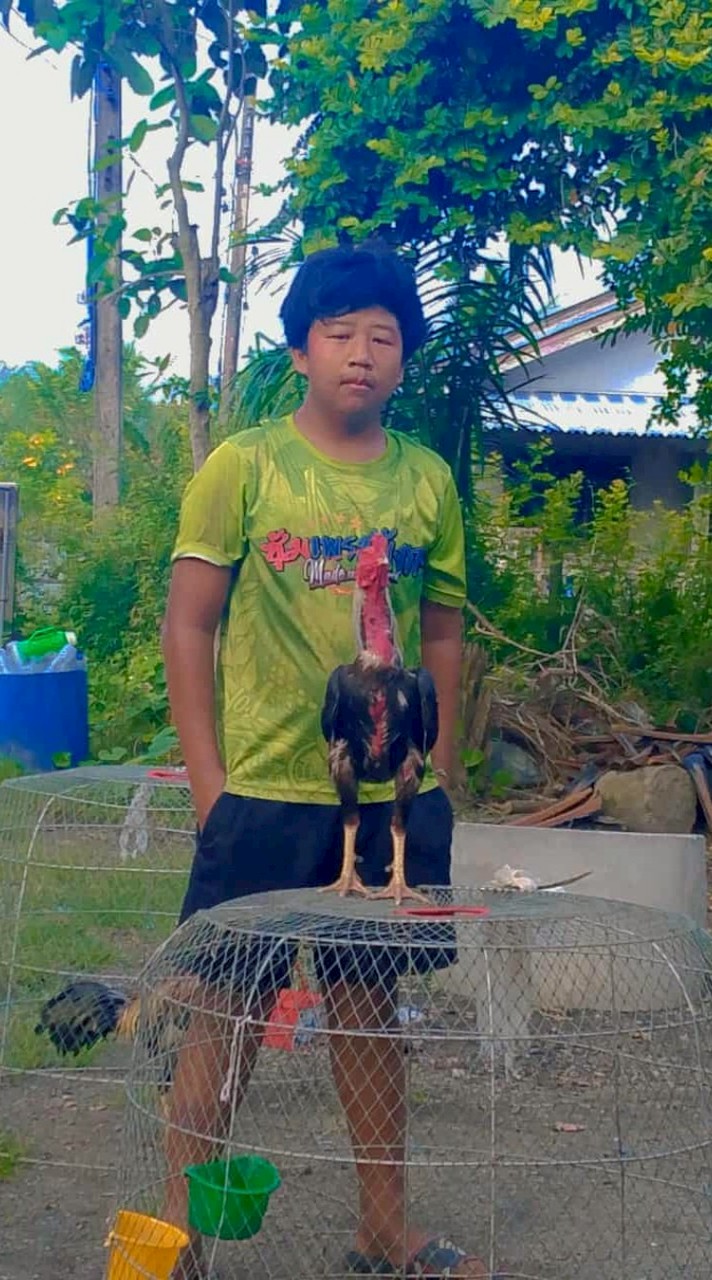 ซุ่มเพรช มังกร   นักรบ แดนใต้
