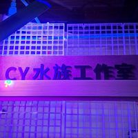 🌟CY水族工作室🌟 競標、交流、買賣