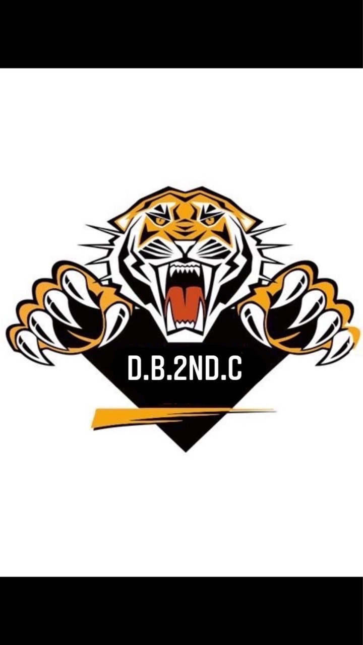 Tiger回報群