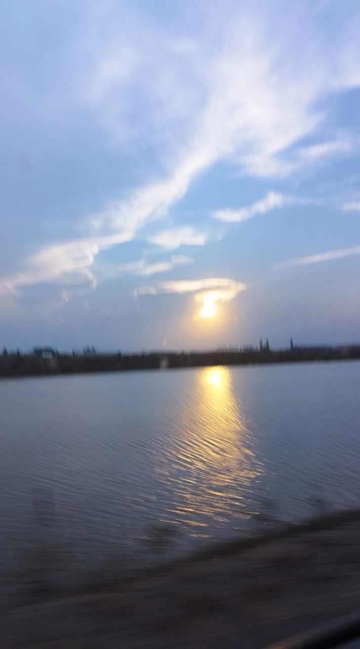 โรงนมสุราษฎร์