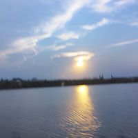 โรงนมสุราษฎร์