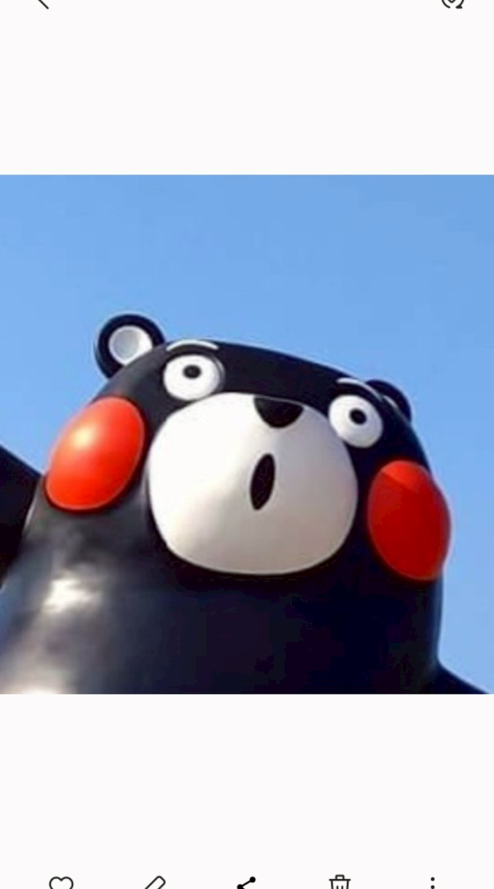 2026年忠石員工日本九州之旅