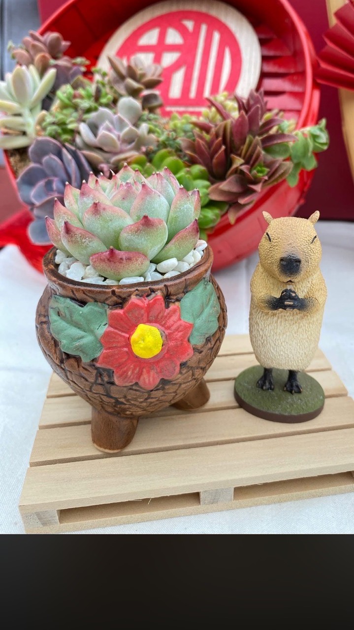 沙漠企鵝捏陶趣