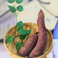 尼藷ボランティア🍠連絡