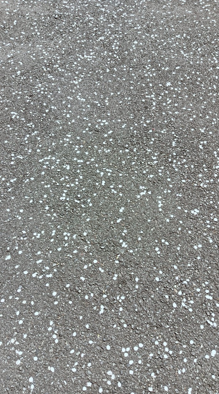 叫びたいことをただ叫ぶ場所